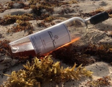 Vinícola é especializada em vinho tinto - Terra Nossa Vinícola é especializada em vinho tinto - Terra Nossa