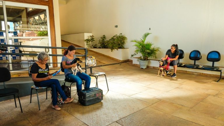 - FOTO: Divulgação/ Prefeitura