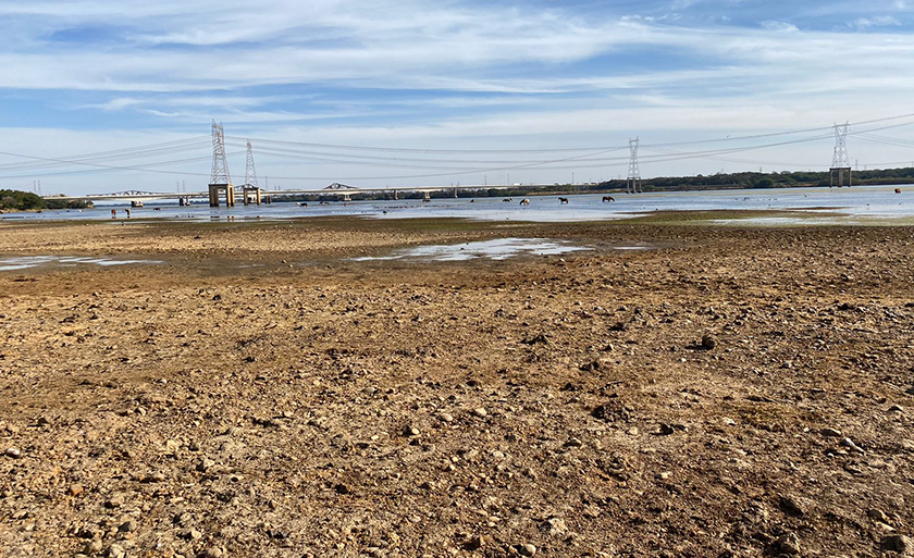 Parte baixa da Usina de Jupiá sofre com a seca, impactando não só a pesca, mas a economia e o meio ambiente - ONG Rio Paraná