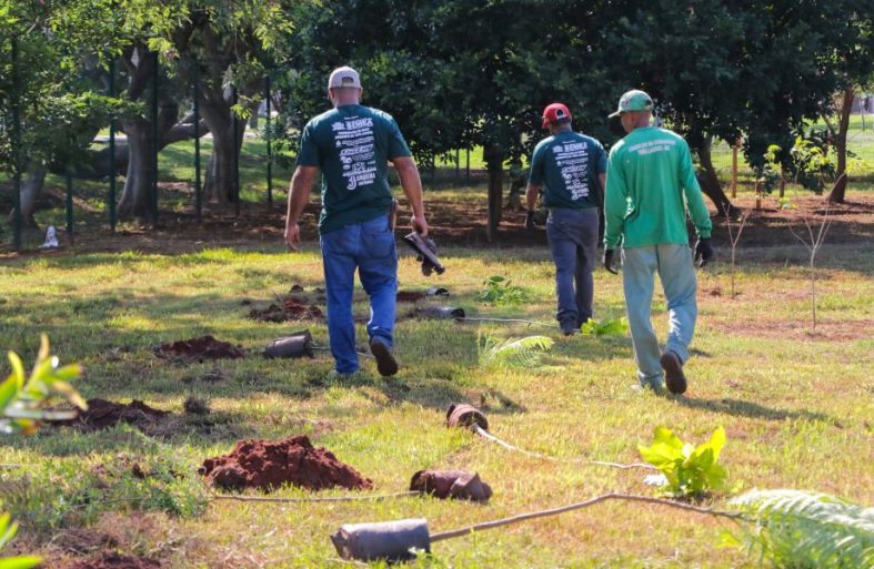 Projeto visa aumentar o número de árvores plantadas na cidade e