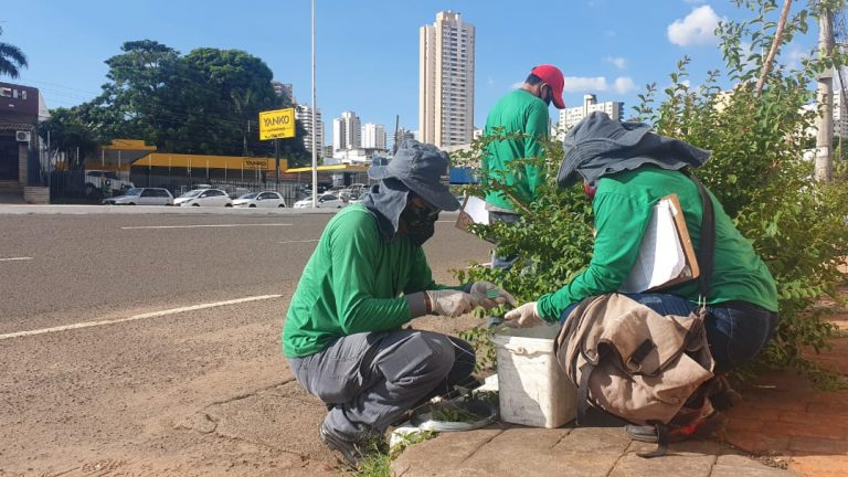 O trabalho foi iniciado na região central e deve se estender até agosto - Foto: Divulgação/Prefeitura