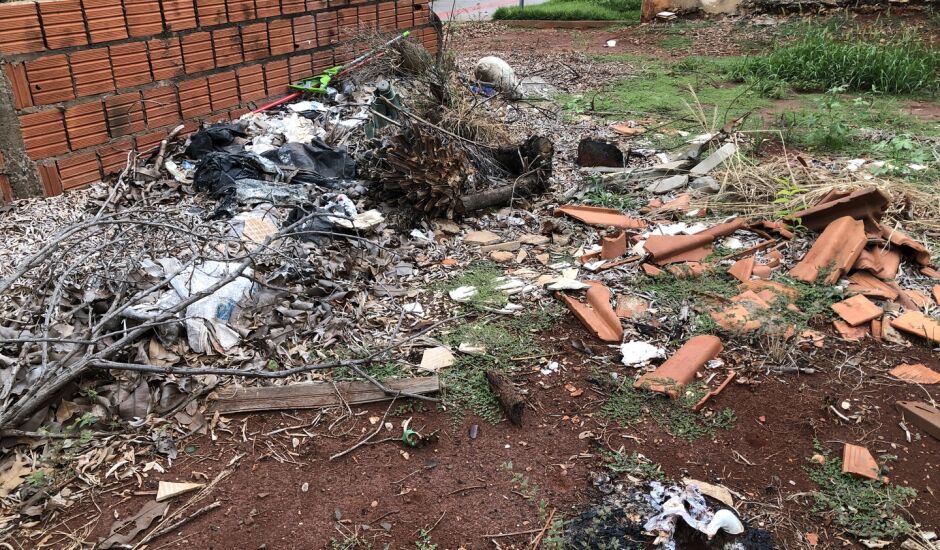 Terrenos baldios são locais propícios para proliferação do mosquito da dengue. - Foto: Isabelly Melo/CBN