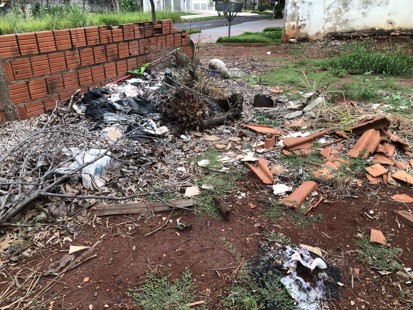 Terrenos baldios são locais propícios para proliferação do mosquito da dengue. - Foto: Isabelly Melo