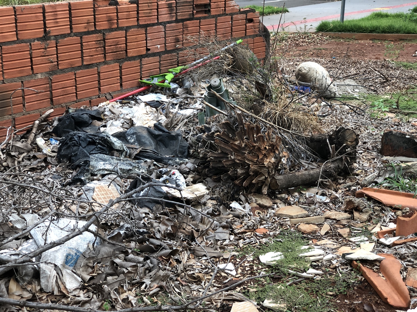 Terrenos baldios e com entulhos são propícios para proliferação do mosquito da dengue. - Foto: Isabelly melo