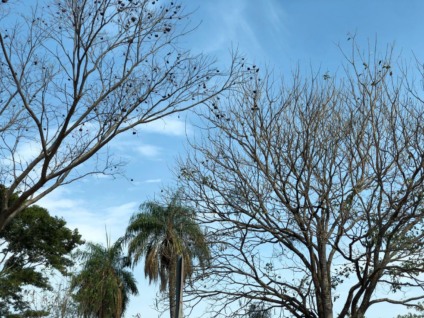 Os avisos estão classificados em cor amarela, de perigo potencial, e laranja, que significa perigo - Foto: Arquivo CBN CG