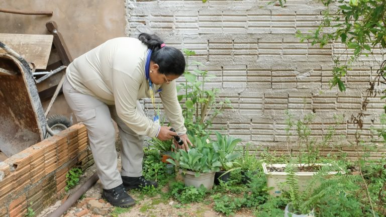 Agentes vistoriaram  mais de 1,7 mil imóveis em uma semana - Foto: Divulgação/ Prefeitura de Campo Grande
