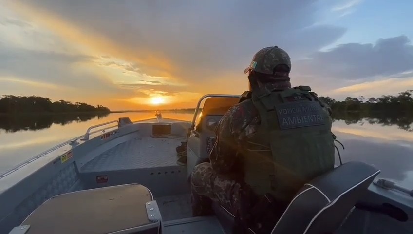 Para a PMA, setembro teve números expressivos em apreensões e multas. - Divulgação/Polícia Militar Ambiental