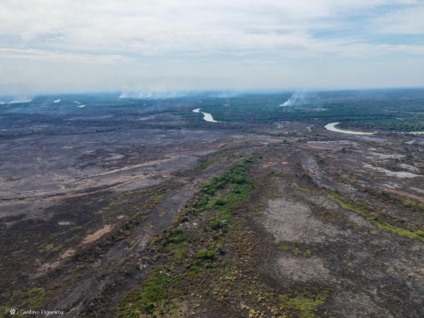 O recorde aconteceu em 2020, onde mais de 3.700.000 hectares do bioma foram queimados, isso significa que quase 30% do bioma naquele ano estava no fogo - Foto:Gustavo Figueiroa