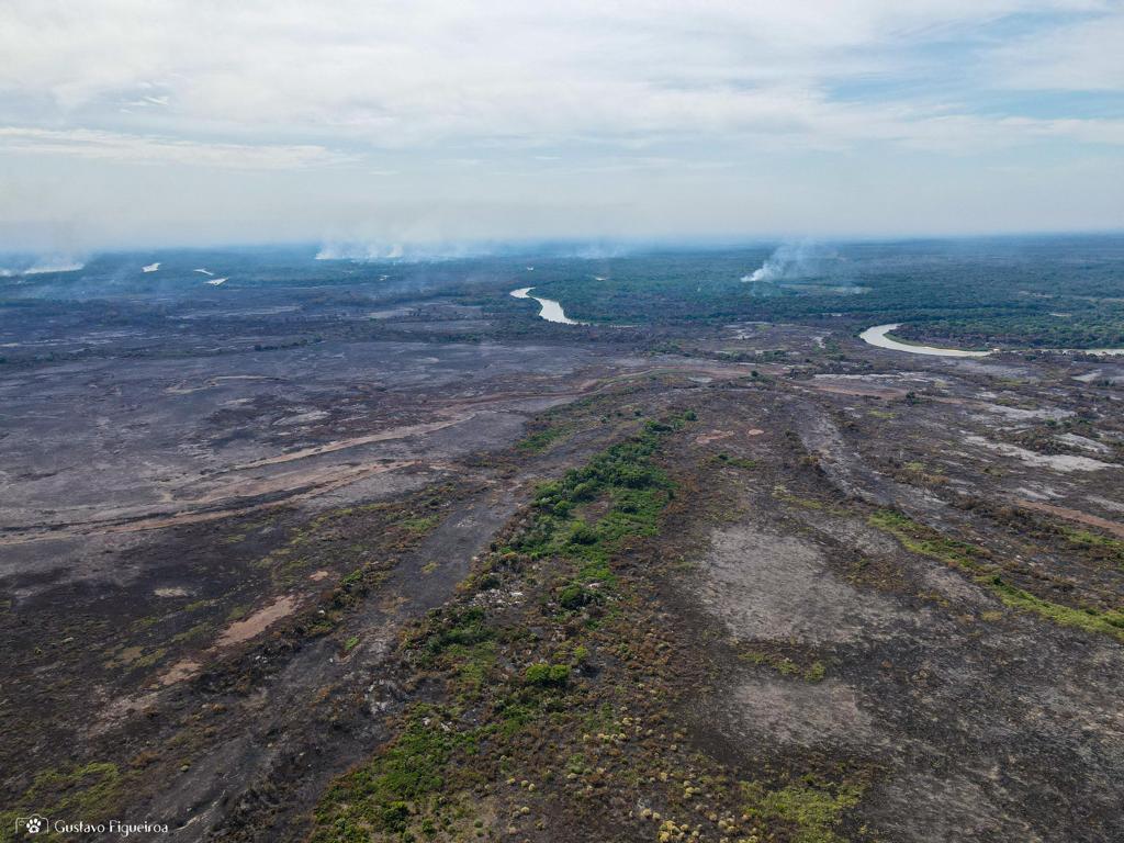 O recorde aconteceu em 2020, onde mais de 3.700.000 hectares do bioma foram queimados, isso significa que quase 30% do bioma naquele ano estava no fogo - Foto:Gustavo Figueiroa