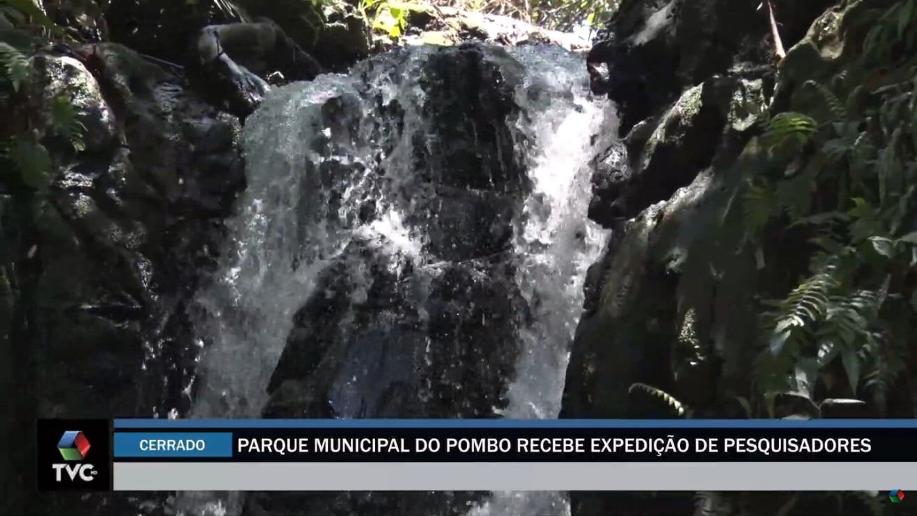 Parque Municipal do Pombo recebe expedição de pesquisadores em Três Lagoas