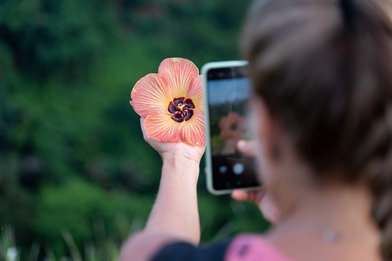 Matrículas para curso de fotografia são pela internet ou na Diretoria de Cultura