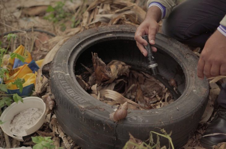 Segundo boletim divulgado pela SES (Secretaria Estadual de Saúde) já foram confirmados 671 casos de dengue no estado