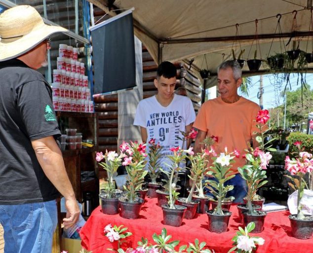 Além da comercialização, o público poderá trocar experiências e troca de galhos relacionados às rosas do deserto e suculentas, como também peças de artesanato e culinária - Divulgação