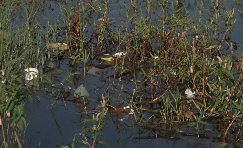 Revitalização será custeada pelo duodécimo repassado pela Câmara Municipal e Três Lagoas - Reprodução/TVC