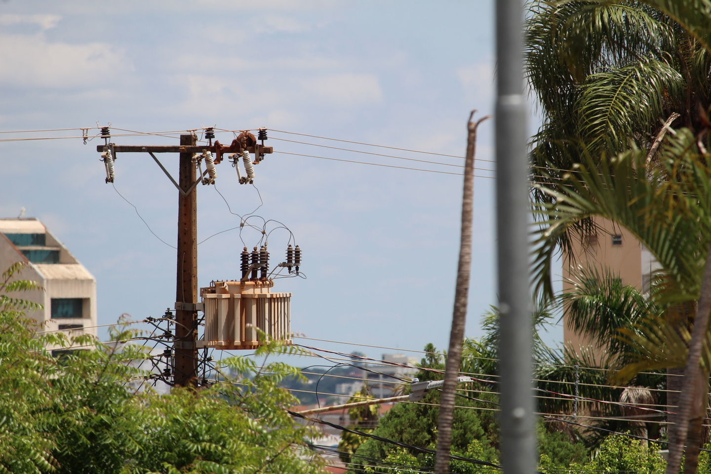 Fiação energia em Campo Grande, ilustração - Foto: Geliel Oliveira