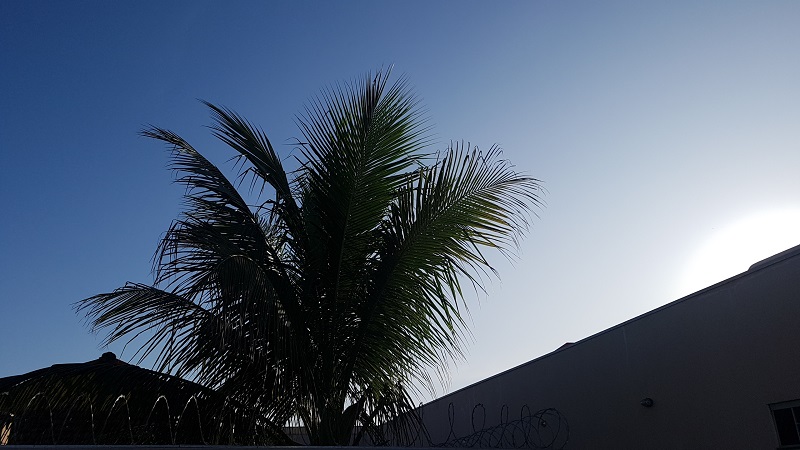 Céu aberto sem nuvens durante todo o dia/RCN67 -