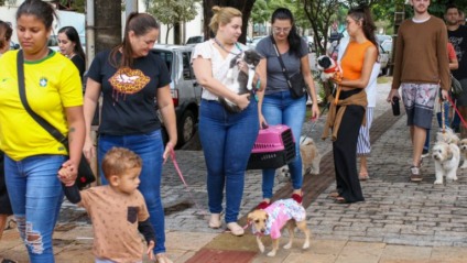 Campanha de vacinação 2023 - Prefeitura Campo Grande/MS Campanha de vacinação 2023 - Prefeitura Campo Grande/MS