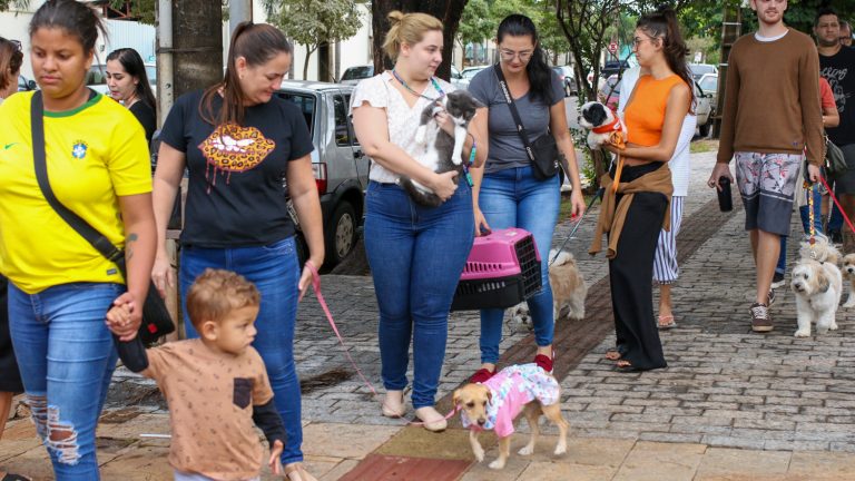 Campanha de vacinação 2023 - Prefeitura Campo Grande/MS Campanha de vacinação 2023 - Prefeitura Campo Grande/MS