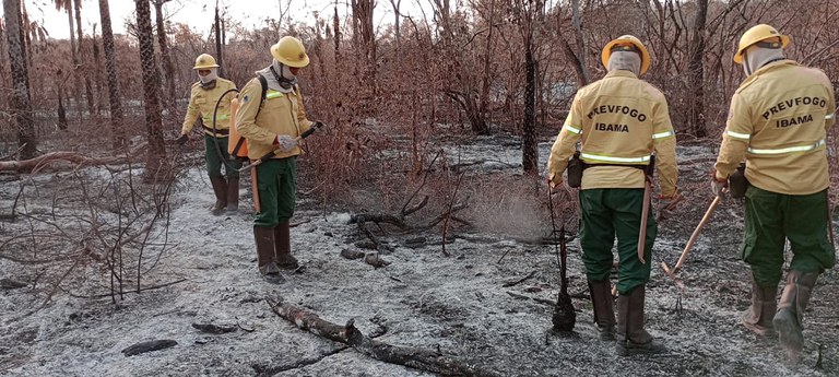 Ibama atua em três frentes para combater incêndios na maior planície alagável do planeta - Foto: Reprodução/Ibama