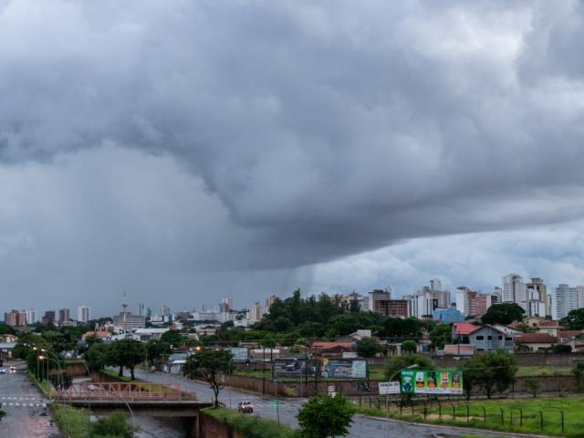 - Foto: Henrique Kawaminami