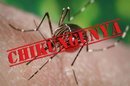 A doença é uma arbovirose cujo agente etiológico é transmitido pela picada do mosquito Aedes aegypti, mesmo que transmita a Zika e a Dengue.  Conforme o Secretário de Saúde Thiago Olegário Caminha trata-se de um fato preocupante - Foto:Divulgação/PFMM