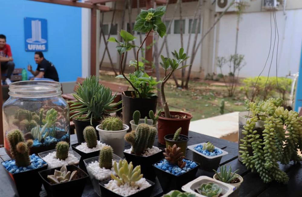 Feira Agroecológica da UFMS tem edição nos dias 10 e 17 - Foto: Arquivo/UFMS