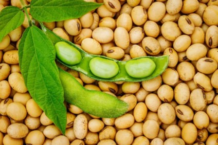 O comparativo entre as duas safras indica um atraso na comercialização do ciclo 22/23, que chega a 16,5 pontos percentuais - Foto: nnattalli / Shutterstock.com O comparativo entre as duas safras indica um atraso na comercialização do ciclo 22/23, que chega a 16,5 pontos percentuais - Foto: nnattalli / Shutterstock.com
