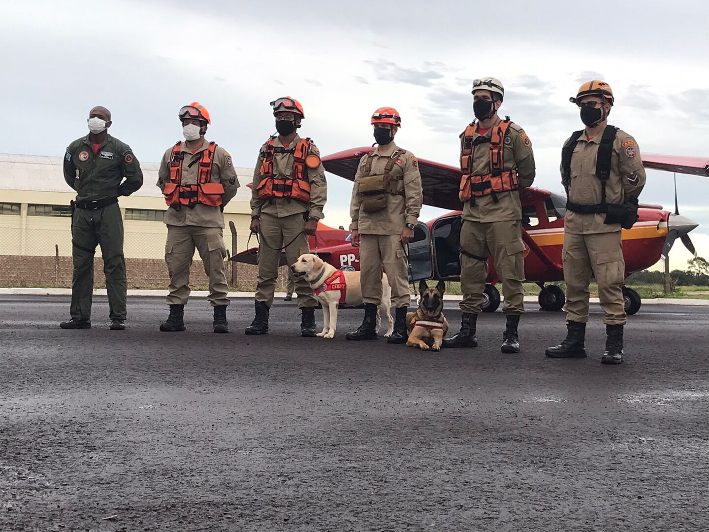 Cães farejadores de MS chegam em Petrópolis para ajudar em resgates - Foto: Divulgaçã/Corpo de Bombeiros