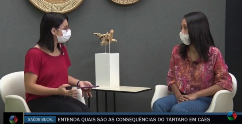 Júlia Sobral é médica veterinária e a convidada do dia - Reprodução/TVC