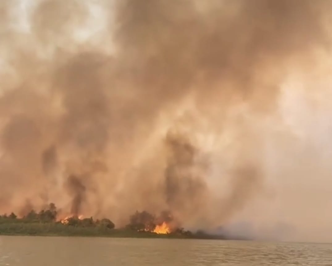 Fogo na Ilha das Laranjeiras, próximo à Serra do Amolar - Foto: Reprodução/Lygia Barbosa