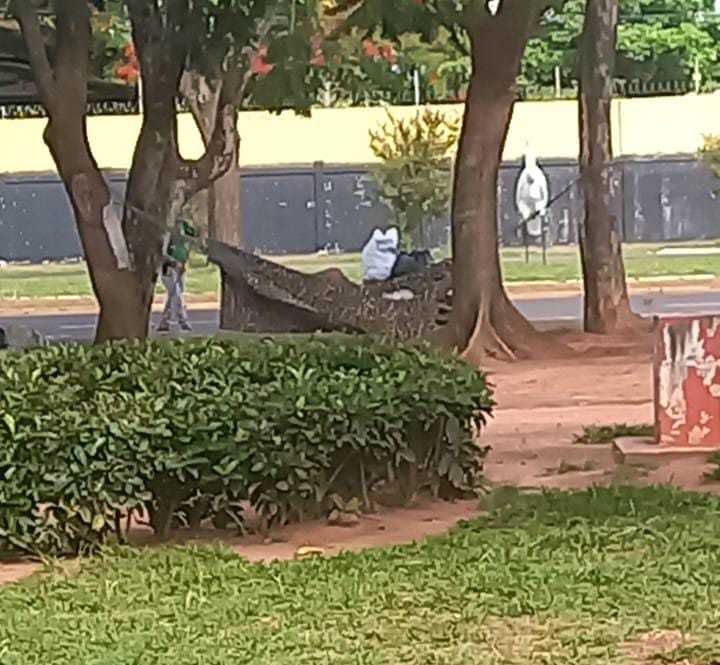 Andarilho monta varal no jardim do Terminal Rodoviário de Três Lagoas.