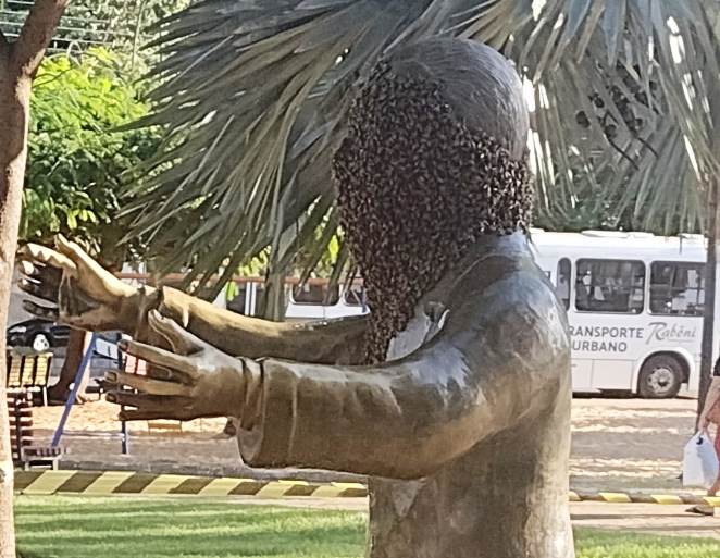 Trecho da praça foi isolado pela Defesa Civil e a equipe do Corpo de Bombeiros deverá realizar a retirada das abelhas. - Ana Cristina Santos/JPNews