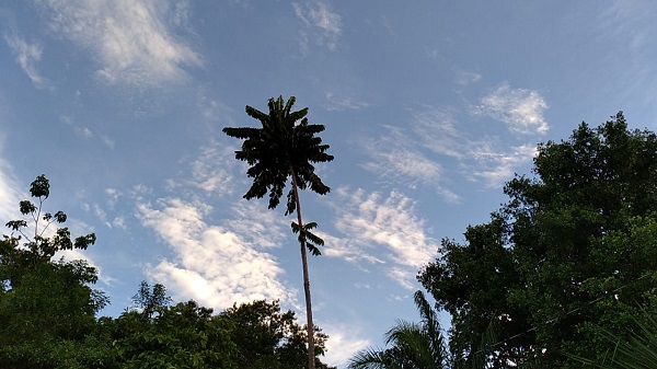 As pancadas pluviométricas podem vir acompanhadas de trovoadas a partir da tarde - Talita Matsushita/JPNEWS