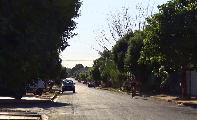 Objetivo é tornar as ruas de Três Lagoas mais arborizadas - Reprodução/TVC