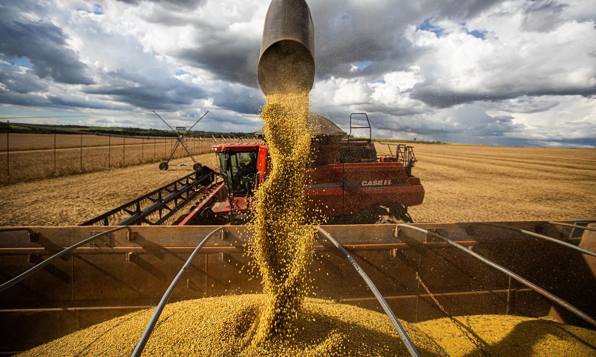 O custo da soja no MS pode chegar a 40,9 sacas por hectare - Foto: Divulgação/Agência Brasil