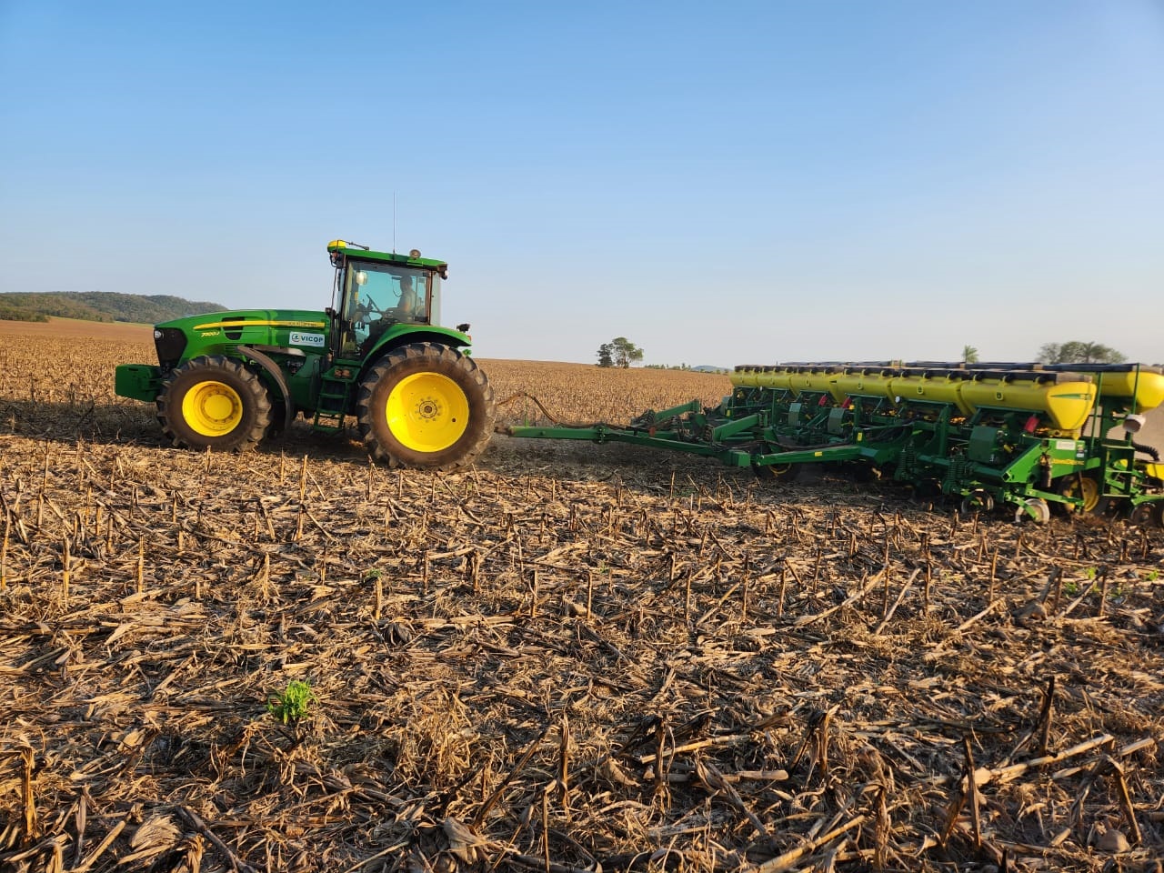 A projeção para este ciclo produtivo, indica área de 3,8 milhões de hectares - Divulgação