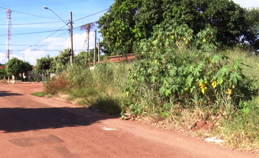 Durante a sessão, os vereadores voltaram a criticar os proprietários de terrenos baldios - Reprodução TVC