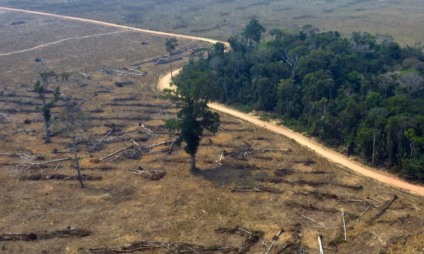 0cientistas têm se esforçado por muitos anos para entender a relação entre o aumento do desmatamento em florestas tropicais e a diminuição das chuvas - Foto:Divulgação/Ibama 0cientistas têm se esforçado por muitos anos para entender a relação entre o aumento do desmatamento em florestas tropicais e a diminuição das chuvas - Foto:Divulgação/Ibama