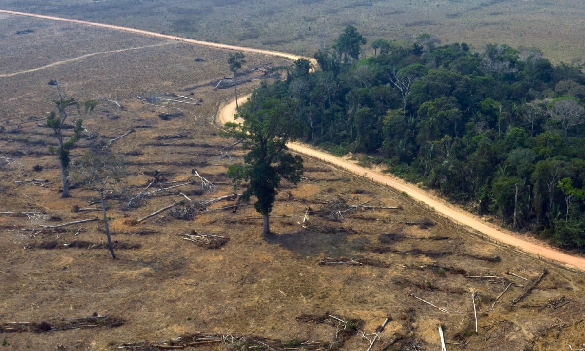 0cientistas têm se esforçado por muitos anos para entender a relação entre o aumento do desmatamento em florestas tropicais e a diminuição das chuvas - Foto:Divulgação/Ibama