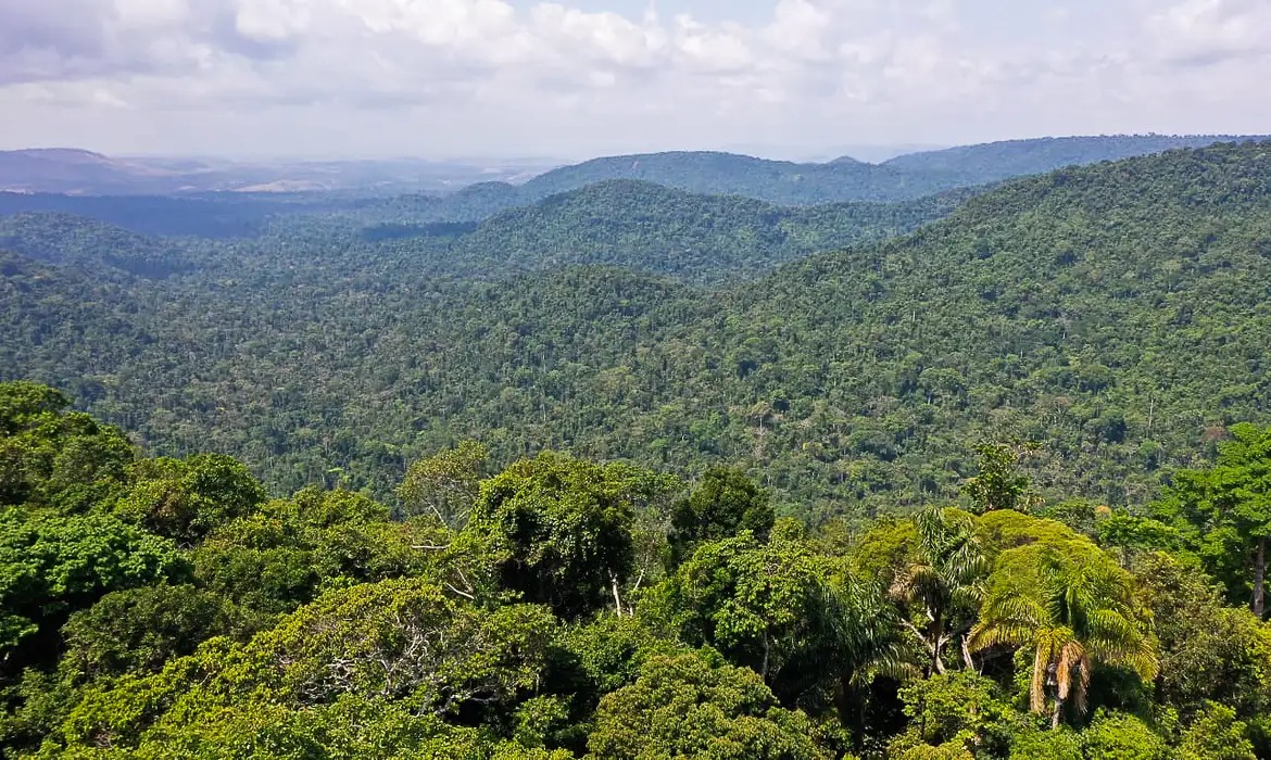 Mudanças climáticas podem causar colapso na Amazônia - Foto: Reprodução/Agência Brasil