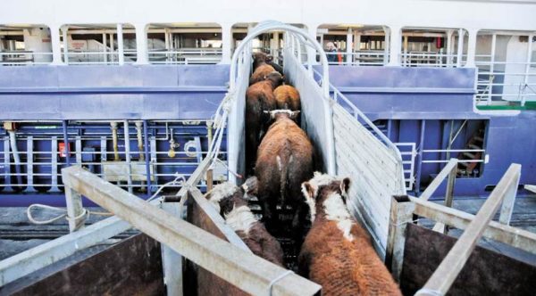 Com estabelecimentos de protocolos entre Brasil e China, o momento é otimista para a economia do estado - Foto:Divulgação/Faxcomex