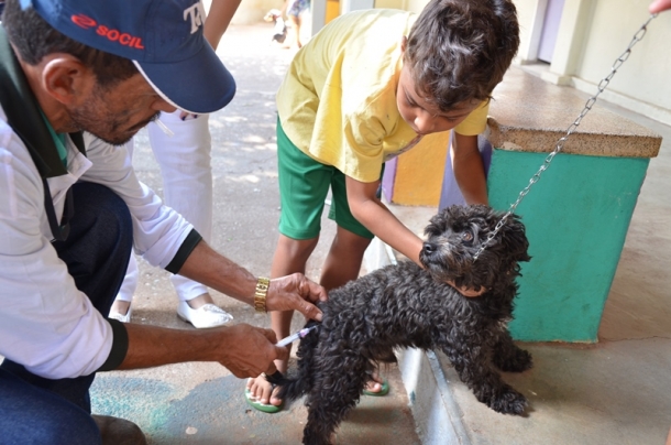 A ação é destinada para cães e gatos a partir de 3 meses de idade. - Arquivo/JPNEWS