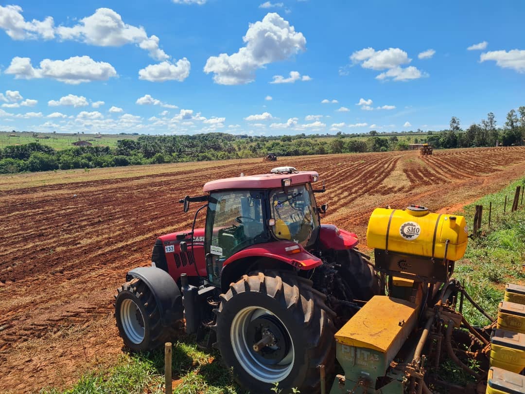 O plantio foi realizado nos dias 9 e 10 de novembro pela Santa Rosa Serviços Agrícolas - Reprodução/Sindicato Rural