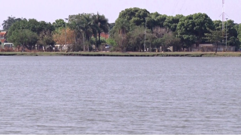 Dia 21 de setembro é comemorado ao Dia da Árvore - Divulgação