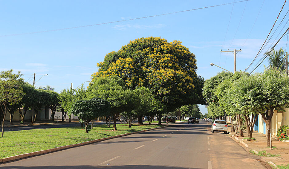 Este projeto visa fortalecer as ações ambientais na cidade, tendo em vista a necessidade de conscientização dos podadores e da população no incentivo à poda adequada de árvore - Arquivo/JPNews