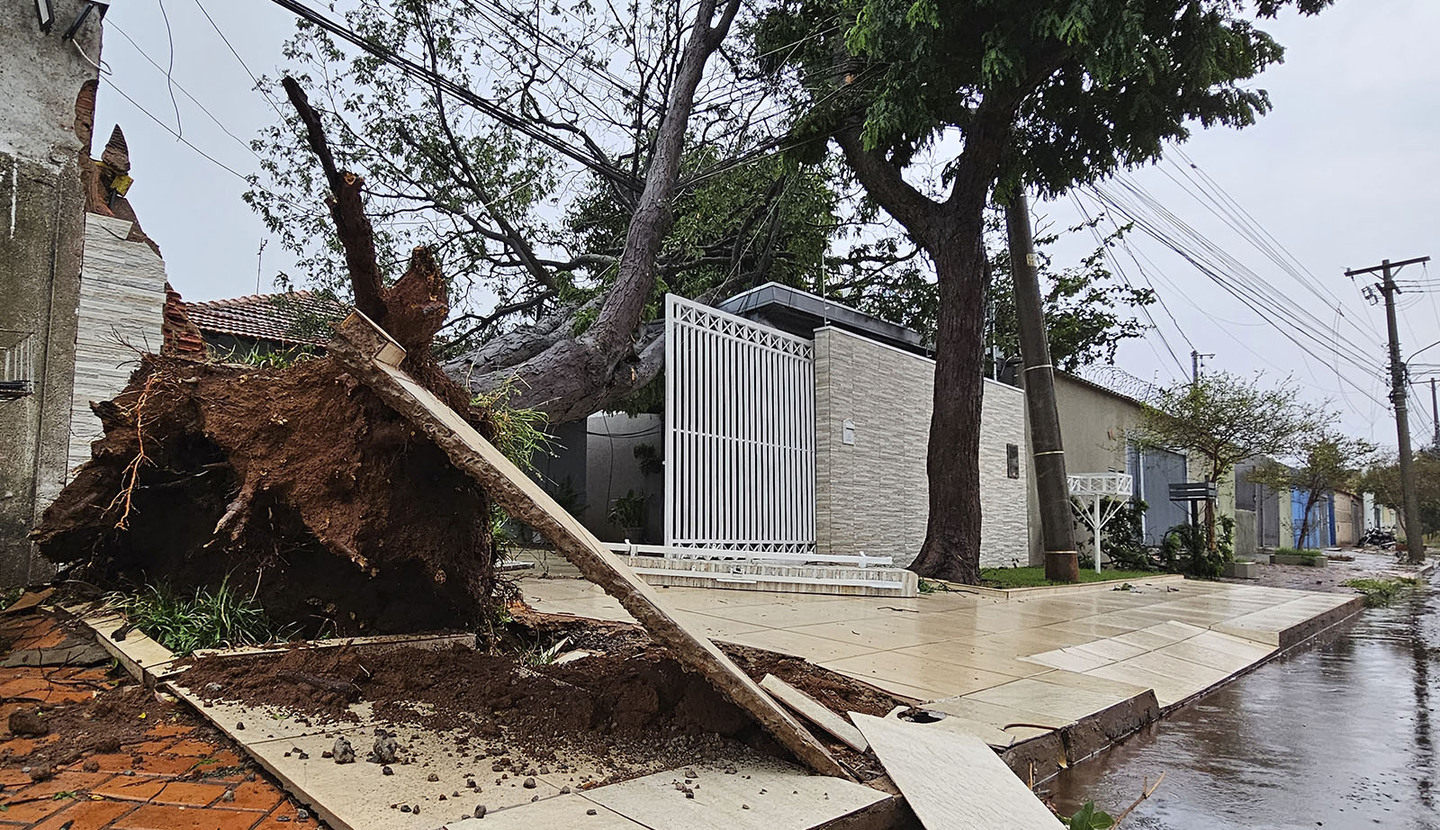 Árvore caiu sobre muro e garagem de uma casa, no Jardim Imá - LSSCom/CBN-CG