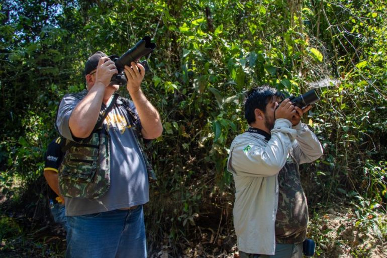 ird Watching consiste em observar as aves em ambiente natural, onde possa se registrar o maior número de espécies - Divulgação/Assessoria