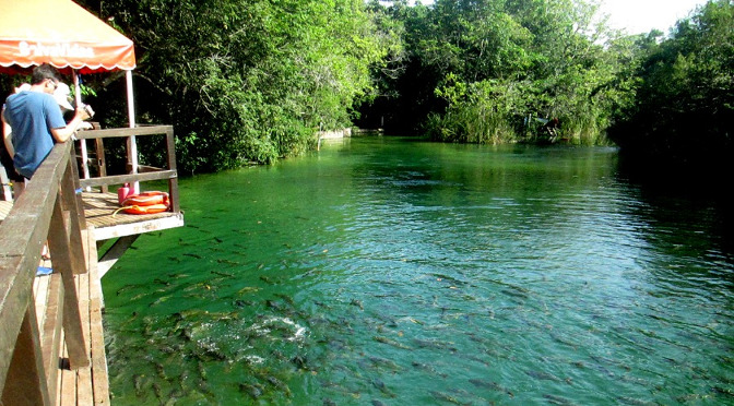 Profissionais de turismo terão auxílio - Arquivo