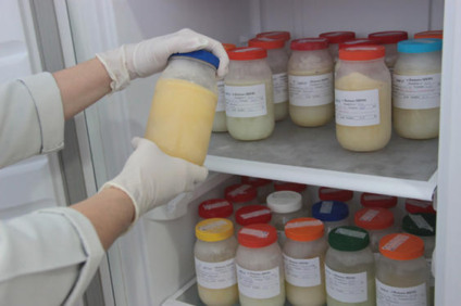 O leite humano contém todos os nutrientes necessários para o desenvolvimento saudável dos recém-nascidos, além de ser rico em anticorpos que fortalecem o sistema imunológico e previnem infecções. Para bebês prematuros e com baixo peso, o leite humano é ai - Foto:Divulgação/SES-MS