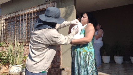 Capital incentiva vacinação pois há casos de morcegos positivos para a doença - Foto: Reprodução/ Prefeitura de Campo Grande